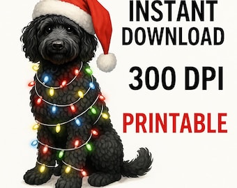Noël Goldendoodle PNG, Clipart chien noir Doodle, sublimation de chiot bonnet de Noel, lumières de Noël PNG