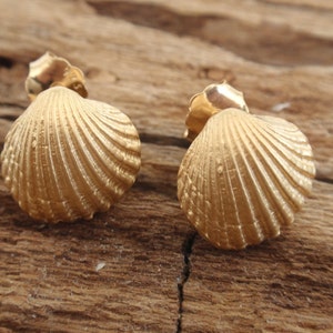 sea shell jewelry gold stud earrings seashell ocean summer beach earrings bridesmaid gift 24k gold plated sterling silver post earrings