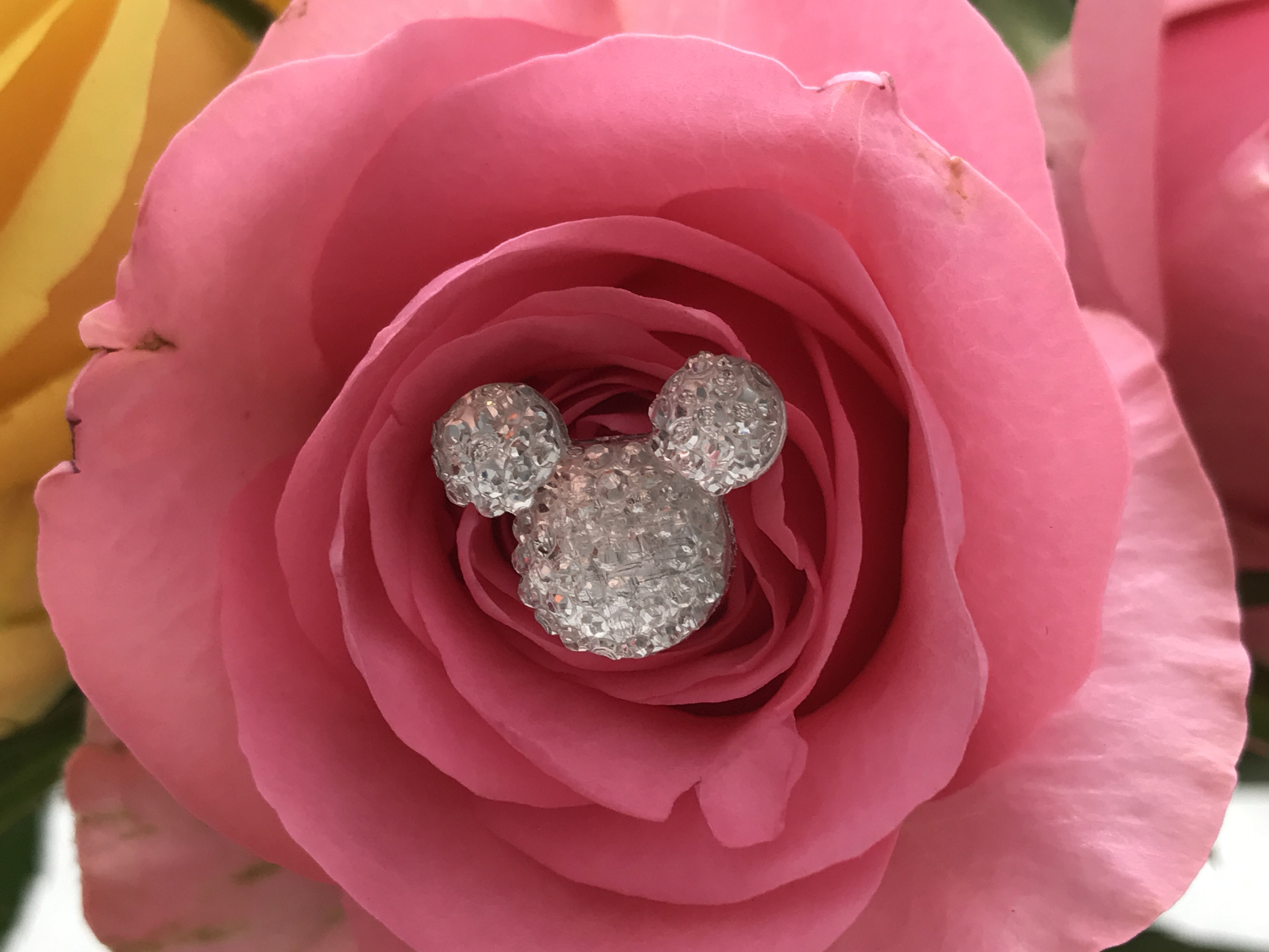 Disney Inspired Wedding FREE SHIP 12 Hidden Mickey Flower Pins-Clear Mouse  Ears-Bouquet Corsage Flower Picks-Centerpiece Floral Pins