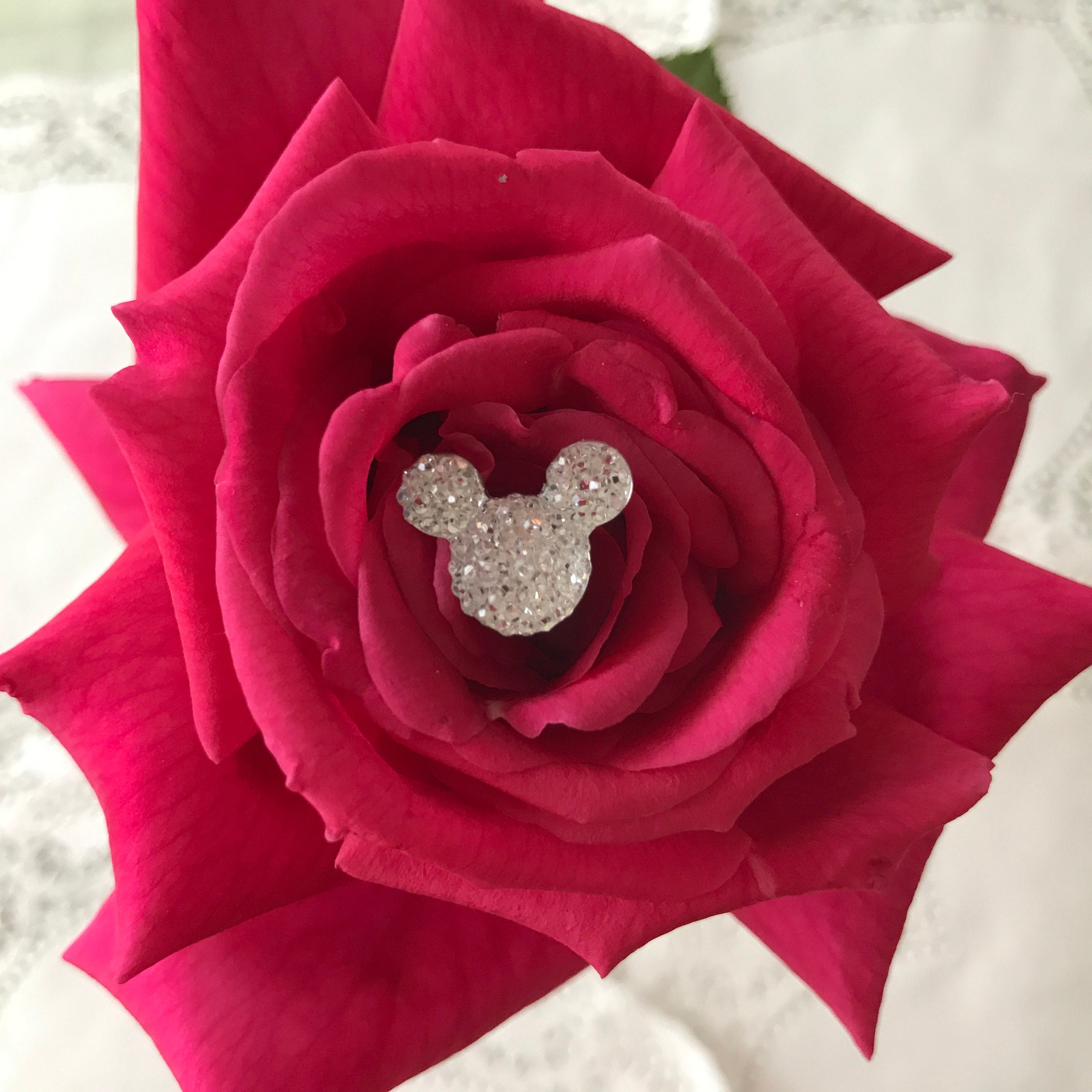Hidden Mickey-disney Inspired-mouse Ears Bouquets-bright Pink