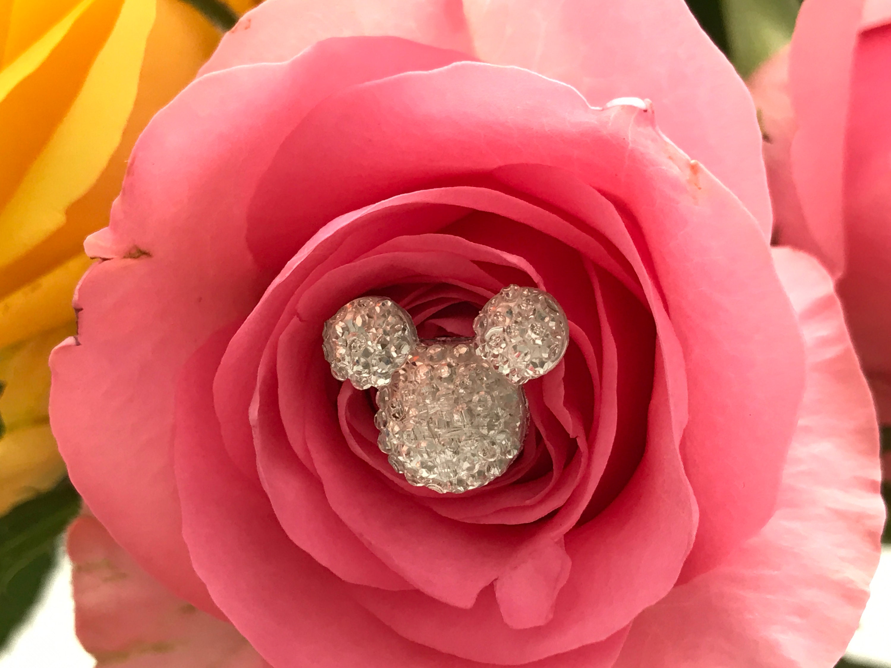 Disney Wedding Flower Pin 6 Hidden Mickey Mouse Ears Bouquets