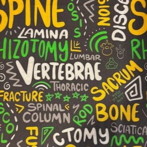 K&ouml;nnte beinhalten: Ein schwarzer Stoff mit einem sich wiederholenden Muster aus wei&szlig;en, gelben und gr&uuml;nen W&ouml;rtern, die sich auf die Wirbels&auml;ule und Knochen beziehen. Die W&ouml;rter beinhalten "spine", "vertebrae", "sacrum", "fracture", "thoracic", "lumbar", "sciatica", "fusion", "discectomy", "lamina", "spinal column", "rod bone" und "we've got your back".