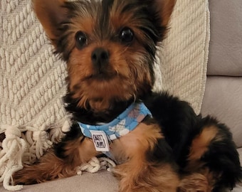 No choke harness for small, x-small & teeny tiny dogs. Made from a 3d mesh fabric making a strong, breathable but lightweight harness.