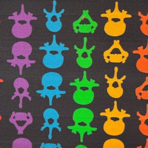 K&ouml;nnte beinhalten: Ein schwarzer Stoff mit einem sich wiederholenden Muster aus bunten anatomischen Illustrationen von Wirbeln. Die Wirbel sind in einem Regenbogenmuster angeordnet, wobei jede Farbe einen anderen Wirbel darstellt.