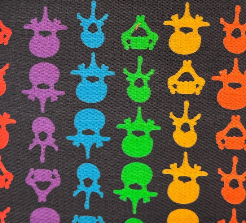K&ouml;nnte beinhalten: Ein schwarzer Stoff mit einem sich wiederholenden Muster aus bunten anatomischen Illustrationen von Wirbeln. Die Wirbel sind in einem Regenbogenmuster angeordnet, wobei jede Farbe einen anderen Wirbel darstellt.