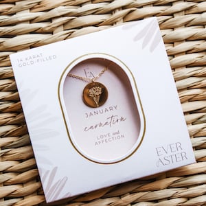 Collar de clavel con flor de nacimiento de enero, plata de ley o chapado en oro, regalo de joyería para mamá