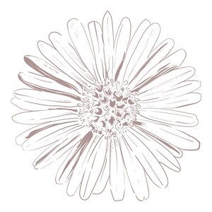 Puede incluir: Un dibujo en blanco y negro de una margarita con un centro detallado y muchos p&eacute;talos.