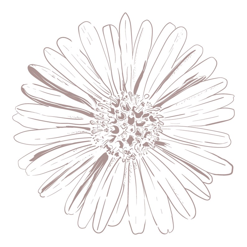 Puede incluir: Un dibujo en blanco y negro de una margarita con un centro detallado y muchos p&eacute;talos.