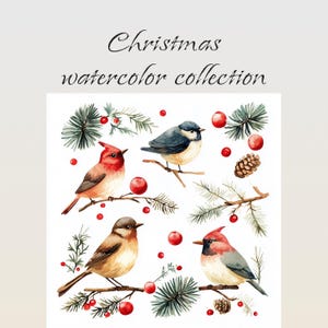 15 wintervogels Cliparts. Besneeuwde jpg's kerstaquarel, digitale planner, tijdschriften, kunst aan de muur voor commercieel gebruik. Digitale download