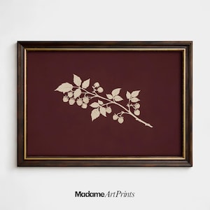 May include: A framed print featuring a beige raspberry branch on a deep burgundy background. The print is in a dark brown frame with a gold inner edge. The text "Madame Art Prints" is at the bottom.