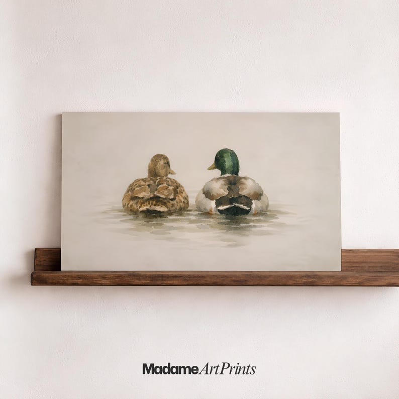 Pu&ograve; includere: Stampa artistica rettangolare con due anatre nell'acqua. Un'anatra ha il corpo marrone, l'altra la testa verde e piume marroni, bianche e nere. La stampa &egrave; montata su una mensola di legno. Il testo "Madame Art Prints" &egrave; in basso.