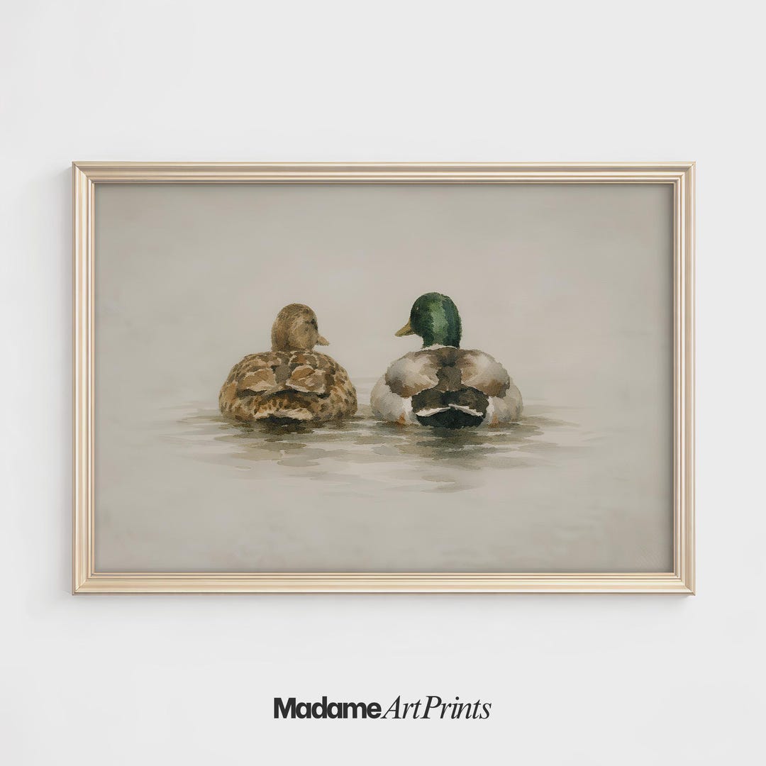 Mallard Duck Pair, Watercolor Naturalist, Spring Wall Decor, Rustic Mood Wall Art, Antique