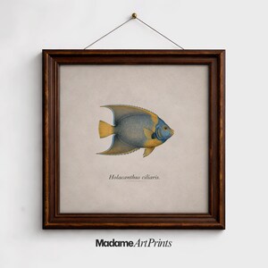 Könnte beinhalten: Set aus drei Keramikbechern mit gesprenkelter, matter Oberfläche. Die Becher sind in Creme-, Hellgrau- und Dunkelgrautönen gehalten. Jeder Becher hat ein schlichtes, minimalistisches Design.