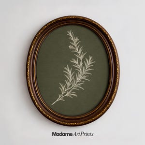 May include: An oval framed print with a botanical illustration of a rosemary sprig. The artwork is set against a dark green background and framed in a dark brown oval frame with gold accents. The text "MadameArtPrints" is at the bottom.