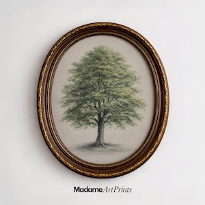 Green Beech Tree Serenity, Vintage Botanical Illustration, Spring Bloom, Wall Decor Rustic Cottagecore, PRINTABLE Digital Download