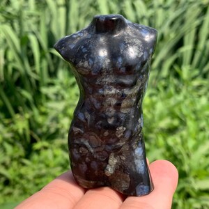 Peut inclure: Une figurine de torse sculpté foncé avec une finition polie. La figurine est principalement noire avec des marbrures bleues et grises, mettant en valeur la forme du haut du corps. Le fond est un feuillage vert flou.