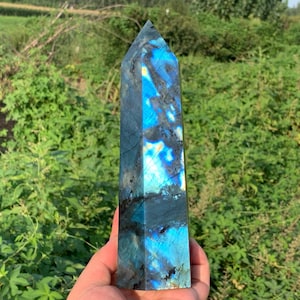 May include: A tall, rectangular labradorite crystal with a pointed top. The stone displays a vibrant mix of blue, teal, and black colors. The crystal is held in a hand against a backdrop of green foliage.