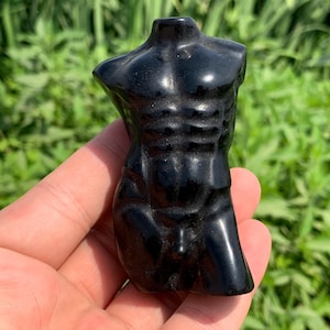Peut inclure: Une sculpture noire brillante d'un torse masculin, mettant en valeur une musculature définie. La figurine est sculptée avec des lignes lisses et des détails subtils, créant une esthétique soignée. La sculpture est tenue devant un fond de feuillage vert.