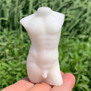 Peut inclure: Une figurine de torse blanc sculpté. La figurine est une représentation détaillée d'un torse masculin, avec une musculature définie. La sculpture est tenue dans une main sur un fond vert flou.