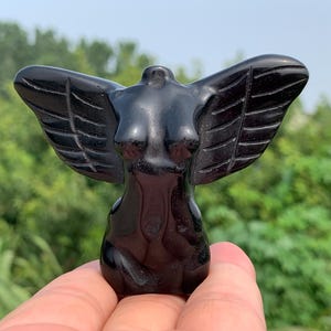Peut inclure: Une figurine noire sculptée d'un torse avec des ailes déployées. La sculpture est très polie et reflète la lumière, avec des sculptures détaillées de plumes d'ailes. La figurine est tenue dans une main sur un fond vert flou.
