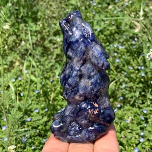 3.5&#39;&#39;+ Natural Sodalite quartz,quartz crystal,Crystal Wolf,Wolf Skull,Hand Carved Crystal Gifts 1pc
