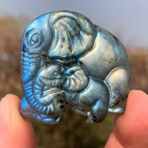 1.5''+ Natural Labradorite quartz crystal,hand carved Crystal Elephant skull Gifts 1pc