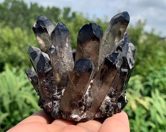 300g+ Smoky quartz Cluster specimen,quartz crystal,Crystal Mineral Vug specimen,Crystal Gifts 1pc