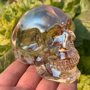 May include: A clear glass skull with a metallic gold finish. The skull is detailed with a realistic depiction of teeth and eye sockets.