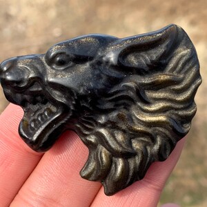 2.4&#39;&#39;+ Natural Gold Obsidian quartz crystal Wolf skull crystal gifts 1pc