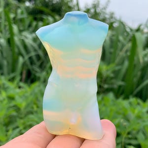 Peut inclure: Une sculpture translucide et opalescente d'un torse. La sculpture présente un dégradé de couleurs, notamment le bleu, le jaune et le blanc. La forme est lisse et détaillée, avec une musculature définie. Le fond est un feuillage vert flou.