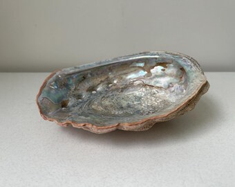 Large Vintage Abalone Shell Bowl