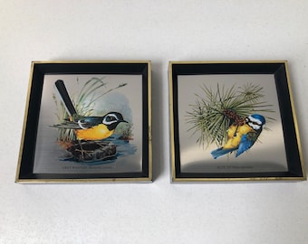 Set of 2 Square Framed Mirrored Bird Prints
