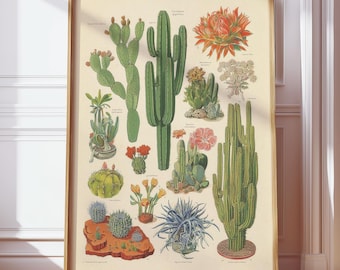 Vintage botanische cactuskaart print | Retro woestijnplant muurkunst | Sappige identificatieposter | Bloemillustratie in antieke stijl