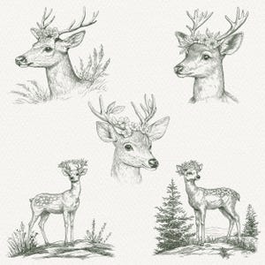 5+ Vintage SVG PNG Floral Deer Printable | Hand Drawn Deer Vector Illustration | Cottagecore Deer Wildlife Clipart | Nature Vector Art