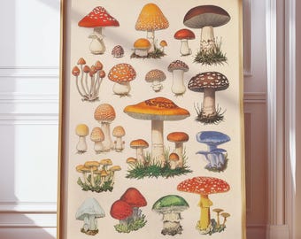 Vintage poster met paddenstoelengrafiek | Antieke schimmelidentificatiekaart | Boho mycologie print | Botanische voedselkunst | Digitale download