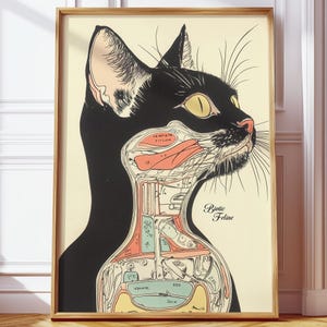 Vintage Cat Anatomy Poster - Biotische Feline druckbare Kunst für Tierliebhaber im Vintage-Stil, herunterladbare Katze Digitale Kunstwerke der Katzenbiologie