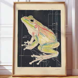 Hand Drawn Frog Anatomy Poster - Retro Vintage Scientific Illustration for Nature Lovers, Biology Enthusiasts, Minimalist Home Wall Art Deco