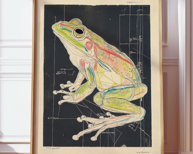 Hand Drawn Frog Anatomy Poster - Retro Vintage Scientific Illustration for Nature Lovers, Biology Enthusiasts, Minimalist Home Wall Art Deco