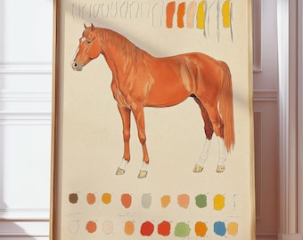Vintage paard anatomische kunst, ruiterschets, antieke wetenschappelijke illustratie, rustieke boerderij muurdecoratie, academische dierenstudie tekening