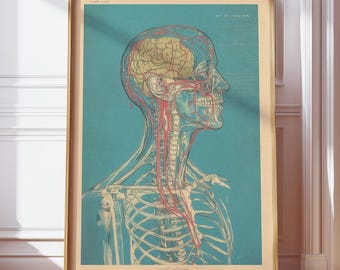 Vintage anatomieposter | Blauwe lijn-inktafdruk | Antieke medische illustratie | Surrealistische muurkunst menselijke aderen | Digitale download