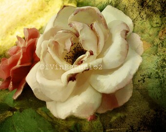 Grungy painted roses, instant download, supplies for your art