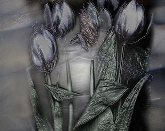 Beautiful  DIGITAL DOWNLOAD A4 Frozen Tulips
