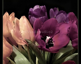 Tulips, card idea,  instant digital download, color, limited edition,