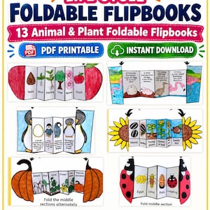 Könnte beinhalten: Ein Set aus 13 ausdruckbaren, faltbaren Lebenszyklus-Flipbooks mit lehrreichen Illustrationen von Pflanzen und Tieren, darunter Flamingos, Pinguine, Sonnenblumen, Kürbisse und Marienkäfer mit Textbeschriftungen für jede Phase.