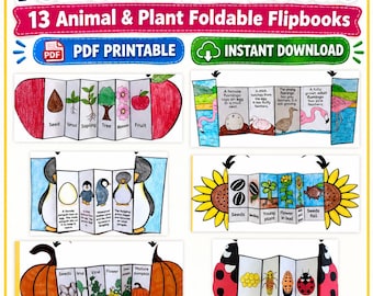 May include: A set of 13 printable life cycle foldable flipbooks featuring educational illustrations of plants and animals including flamingos, penguins, sunflowers, pumpkins, and ladybugs with text labels for each stage of development.