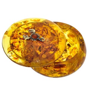 Boîte ronde en ambre Signe du zodiaque Scorpion| Boîte ronde en ambre faite main | Ambre naturel de la Baltique |Cadeau pour elle |Coffret de luxe en ambre