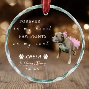 Personalized Pet Memorial Ornament: Crystal Glass Photo Keepsake