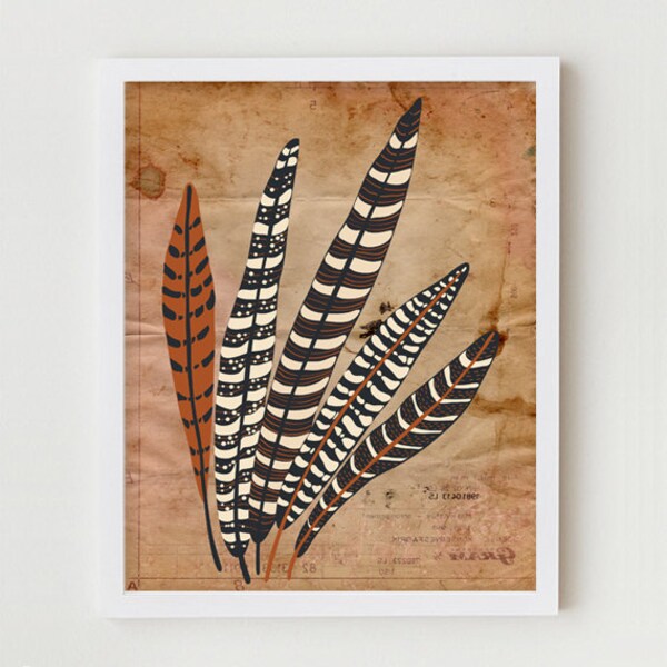 Feather Print Modern Wall Decor Art Poster "Five Fine Feathers"  11x14 Brown Vintage Inspired Wall Decor, Digital Illustration Art Print