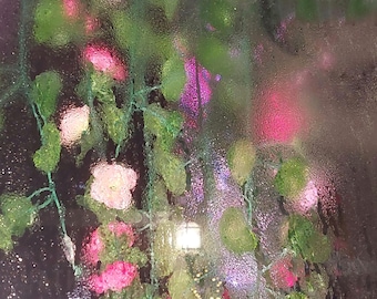 Flores y Reflexiones