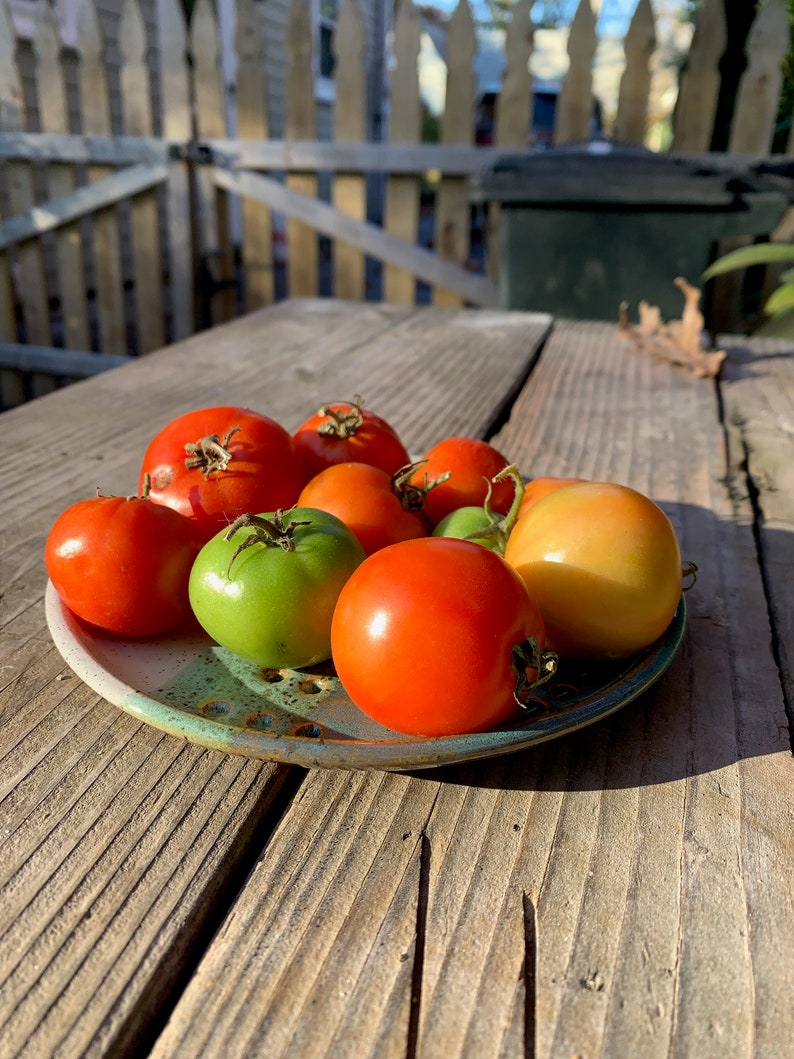 Berry Plate Berry Bowl Colander Strainer Etsy